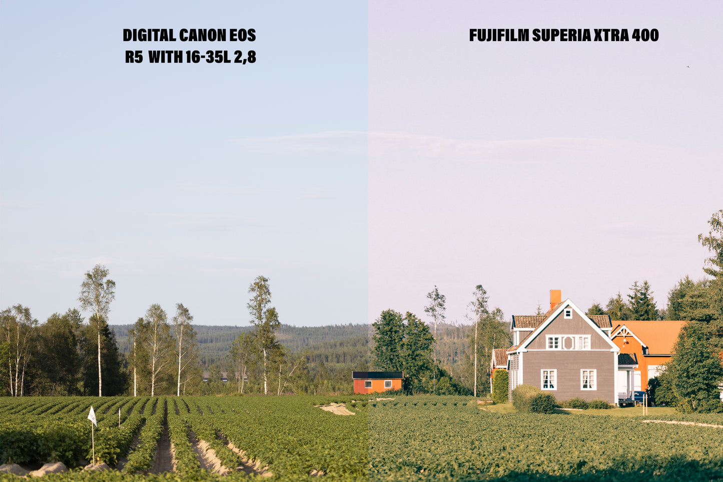 Fujifilm superia Xtra 400 fargeprofil
