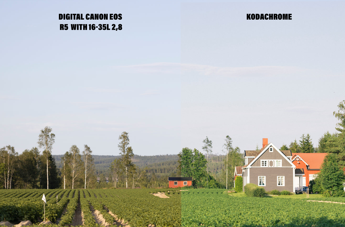 Kodachrome 100 fargeprofil