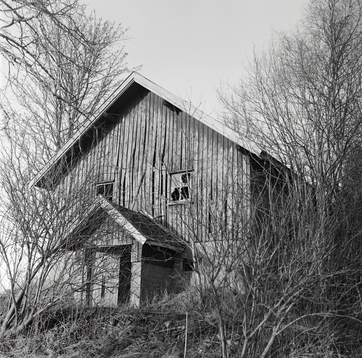 Ilford HP5 Plus – Retrodesign, Klassisk Kvalitet 🎞