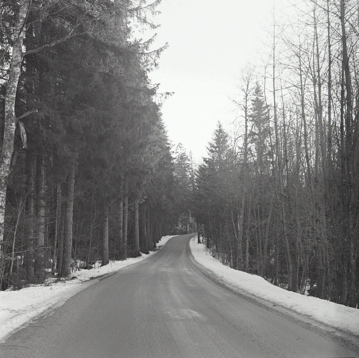 Ilford HP5 Plus – Retrodesign, Klassisk Kvalitet 🎞